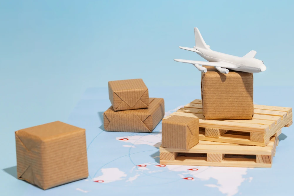 Air Freight Services and Cargo Transportation